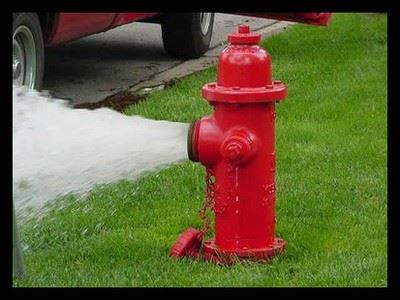Hydrant flushing